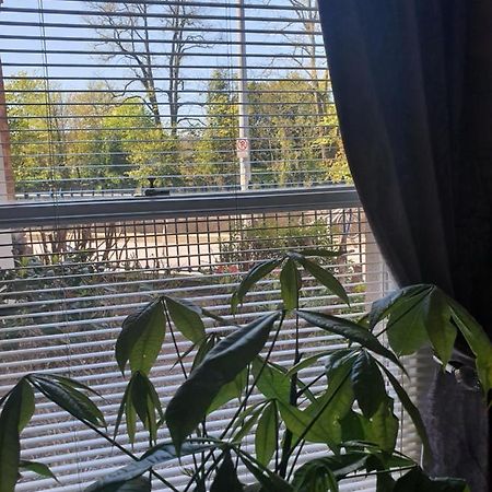 River View Apartment Suite Cork Esterno foto